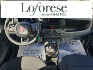 FIAT Panda usata, con Controllo trazione