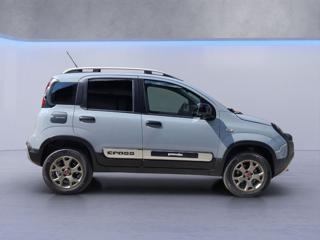 FIAT Panda Cross usata, con Volante multifunzione