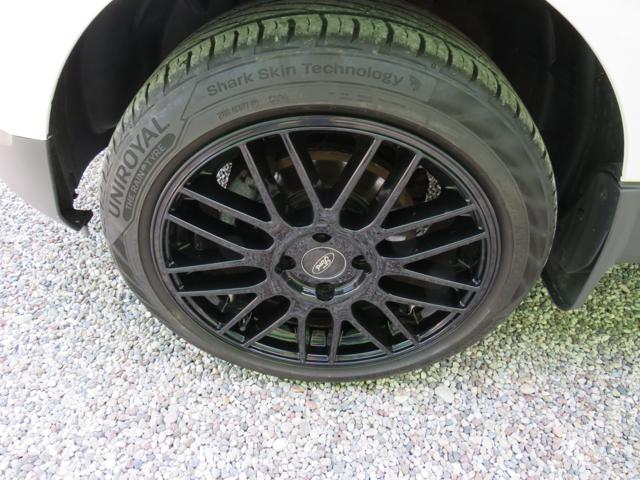 FORD EcoSport usata, con Controllo trazione