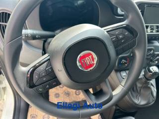 FIAT Panda usata, con Isofix