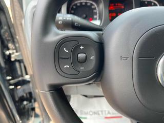 FIAT Panda Cross usata, con Vetri oscurati