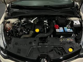 RENAULT Clio usata, con Fendinebbia