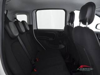 FIAT Panda usata 10