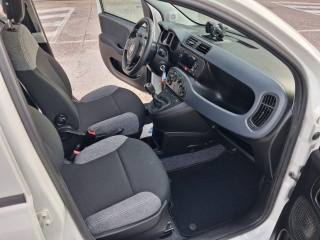 FIAT Panda usata 13