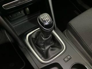 RENAULT Megane usata 21