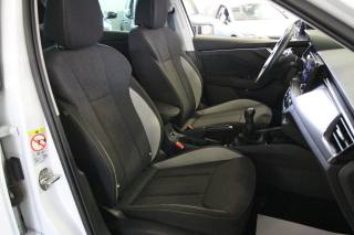 SKODA Kamiq usata, con Vetri oscurati