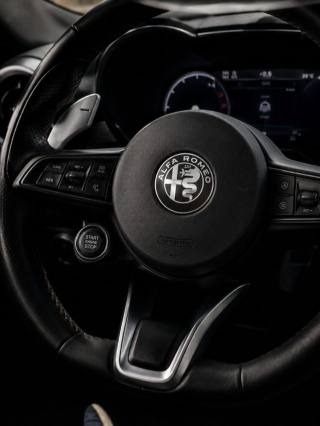 ALFA ROMEO Tonale usata, con Climatizzatore