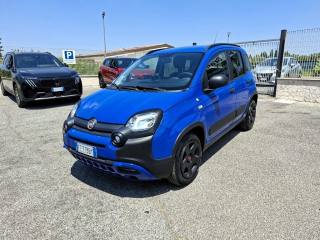 FIAT Panda usata 2