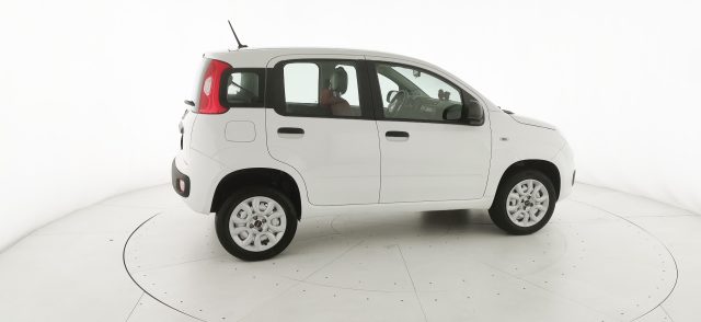 FIAT Panda usata, con Airbag testa