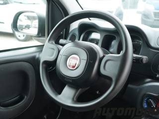 FIAT Panda usata 12