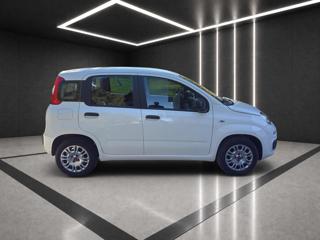FIAT Panda usata, con Alzacristalli elettrici