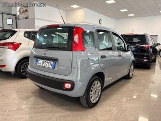 FIAT Panda usata, con Airbag Passeggero