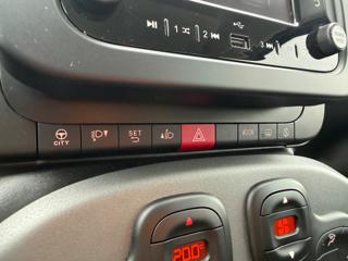 FIAT Panda usata 31