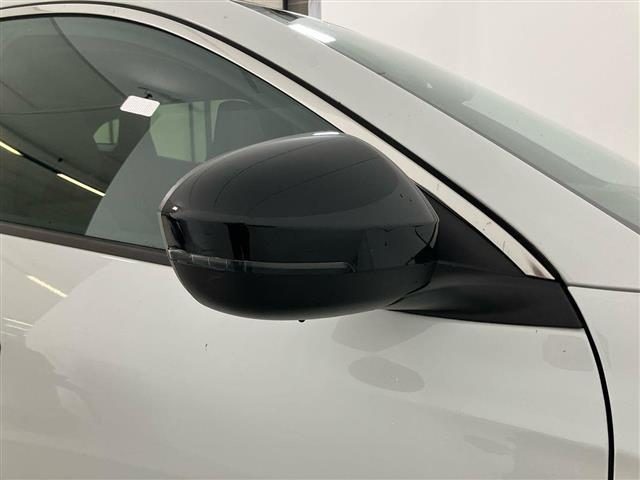 RENAULT Austral usata 22