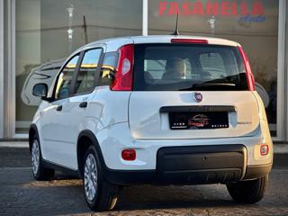 FIAT Panda usata, con Immobilizzatore elettronico
