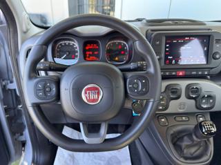 FIAT Panda usata, con Controllo trazione