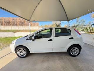 FIAT Punto usata, con Climatizzatore