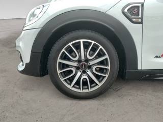 MINI Countryman usata, con Cronologia tagliandi