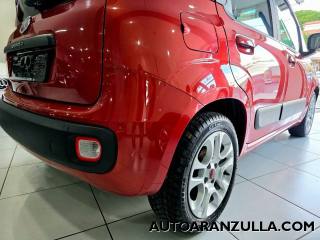 FIAT Panda usata 19