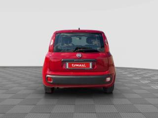 FIAT Panda usata 3