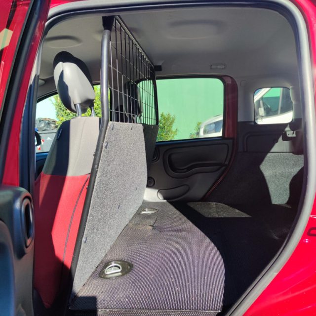 FIAT Panda usata 14