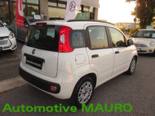 FIAT Panda usata, con Servosterzo
