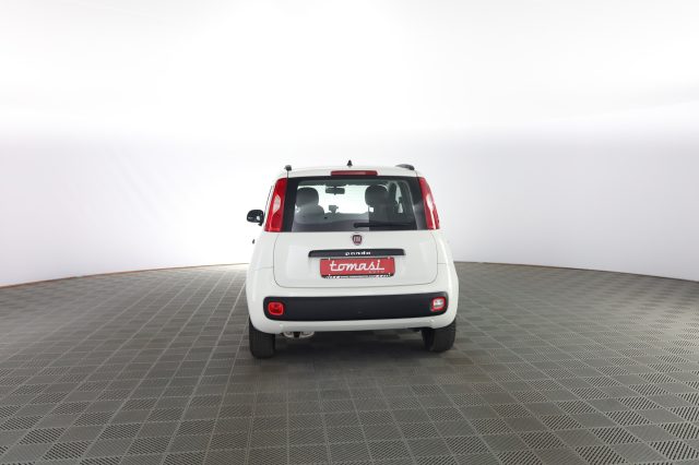 FIAT Panda usata 4