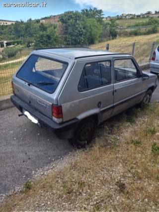 FIAT Panda usata 1