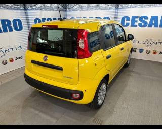 FIAT Pandina usata, con Airbag Passeggero