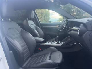 ALFA ROMEO Stelvio usata, con Fendinebbia