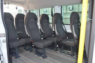 FORD Transit usata 6