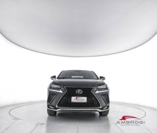 LEXUS NX 300h usata 4