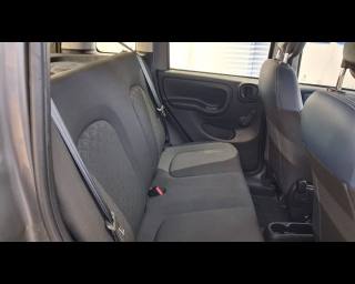 FIAT New Panda usata 15