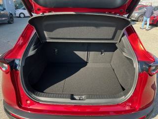 MAZDA CX-30 usata, con Servosterzo