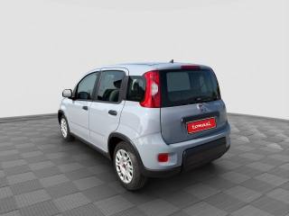 FIAT Panda usata 2