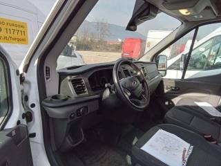 FORD Transit usata, con Cruise Control