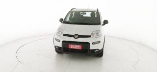 FIAT Panda usata 28
