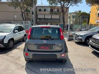 FIAT Panda usata, con Antifurto