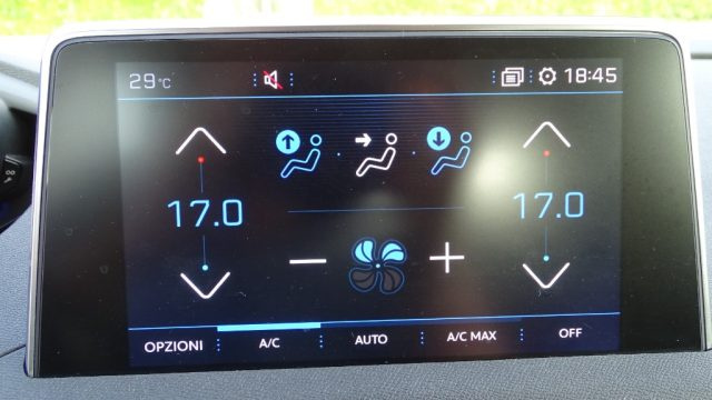 PEUGEOT 3008 usata 102