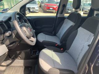 FIAT Panda usata, con Climatizzatore