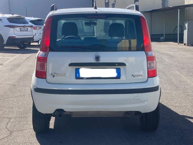 FIAT Panda usata 13