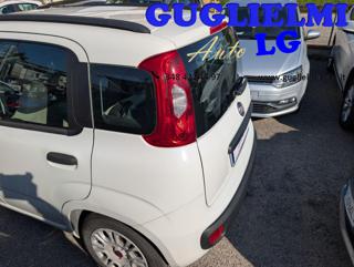 FIAT Panda usata, con Alzacristalli elettrici