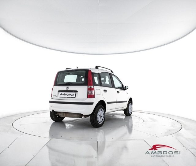 FIAT Panda usata 2