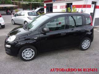FIAT Panda usata, con Fendinebbia