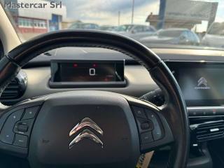 CITROEN C4 Cactus usata, con Fendinebbia