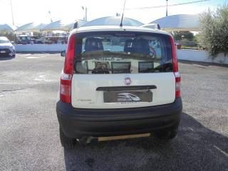 FIAT Panda usata 10