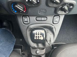 FIAT Panda usata 13