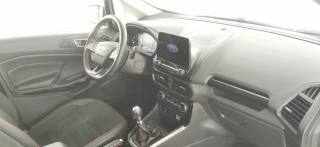 FORD EcoSport usata 45