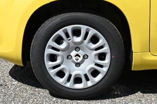 FIAT Panda usata, con Cruise Control