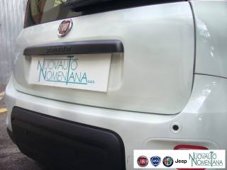 FIAT Panda usata, con Immobilizzatore elettronico